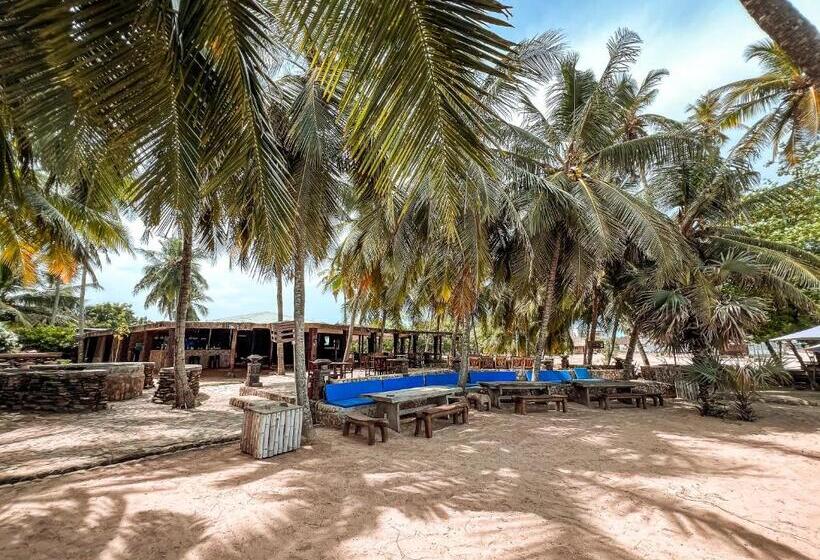 The C Resort & Residences