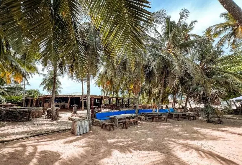 The C Resort & Residences