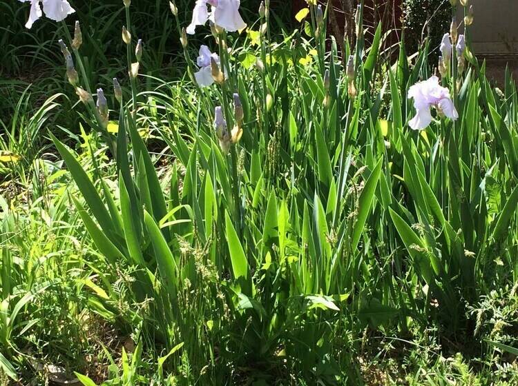 Whole Hearts Bed And Breakfast