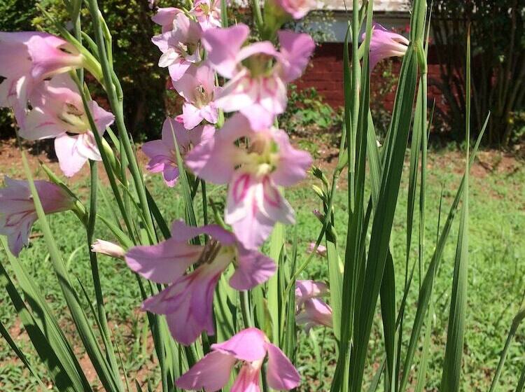 Whole Hearts Bed And Breakfast