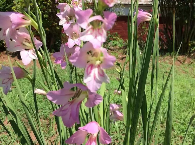 Whole Hearts Bed And Breakfast