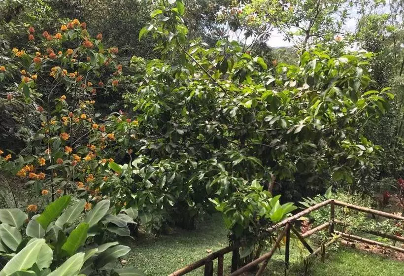 ベッドアンドブレックファースト Estacion Paraiso De Dantas