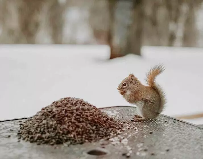 Aamiaismajoitus (B&B) La Maison Bellemare