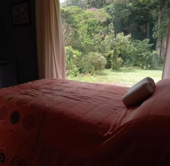 Bed and Breakfast Suite Y Loft Casa Toría