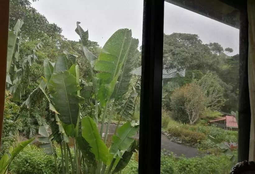 Bed and Breakfast Suite Y Loft Casa Toría