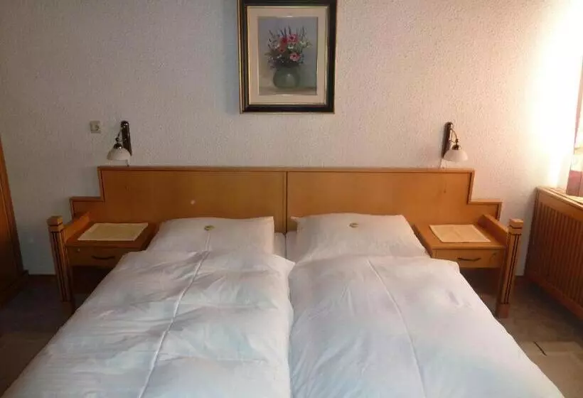 ホテル Gasthof Eisentor