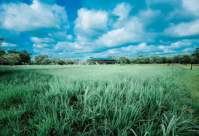 Hotelli Kayjay Wild Wilpattu