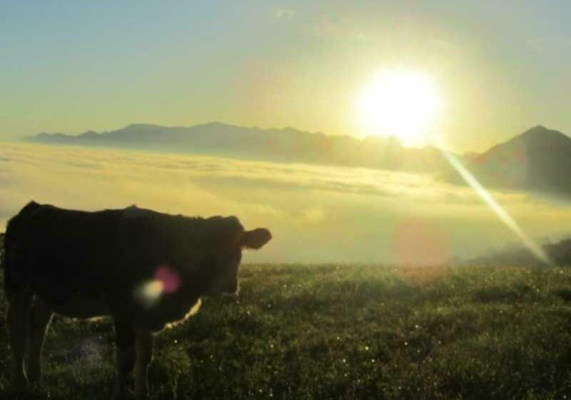 בית מלון כפרי Koglhof