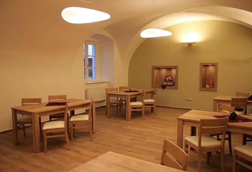 بنسيون Penzion Daníž