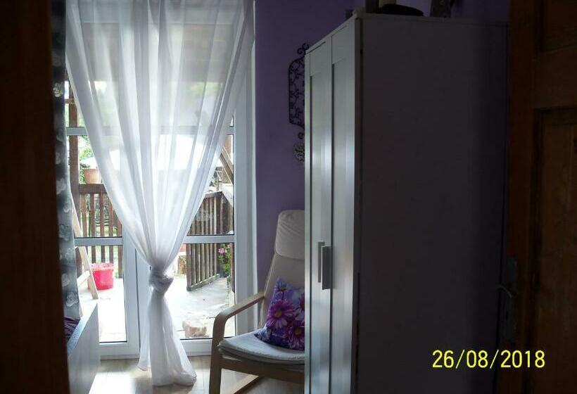 膳宿费 Penzion Iv