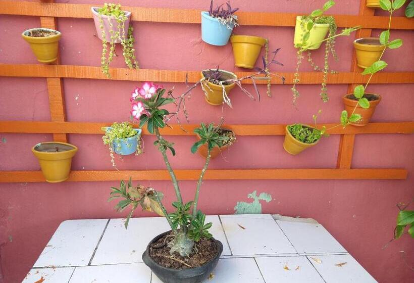 פנסיון Pousada Terraço Potiguara