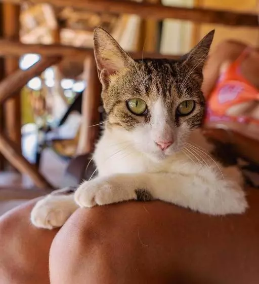 Lomakeskus Paraíso Natural Eco