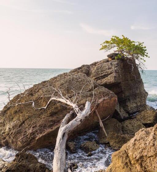リゾートホテル Paraíso Natural Eco