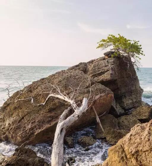 Lomakeskus Paraíso Natural Eco