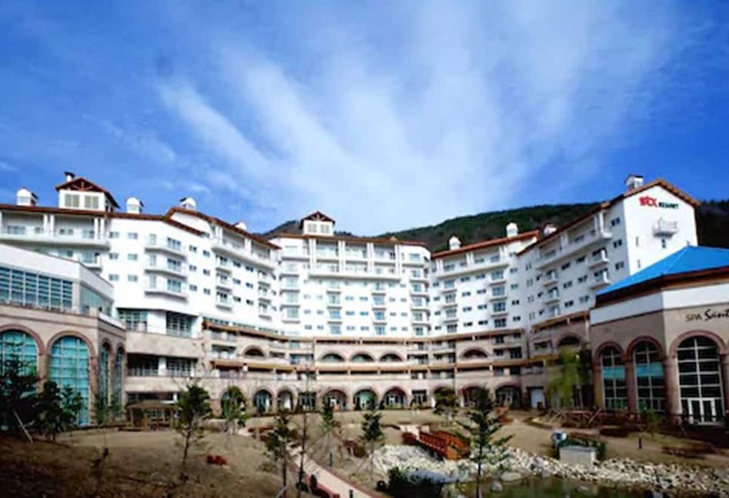 Stx Resort
