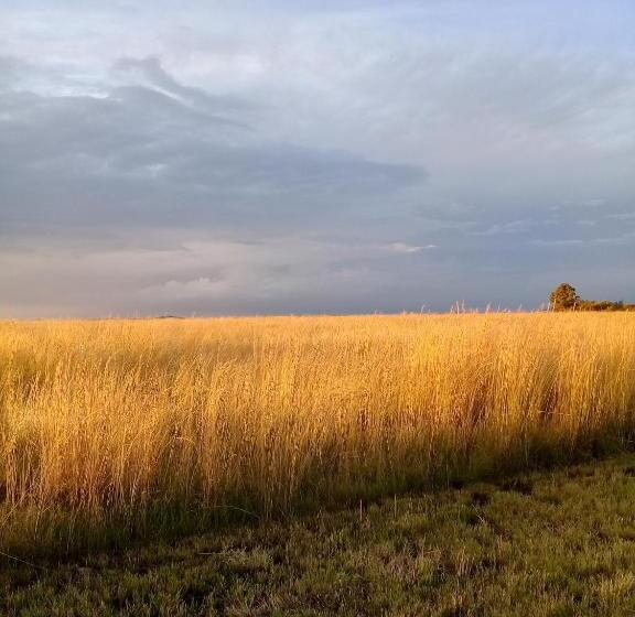 旅馆 Brentwood Lodge