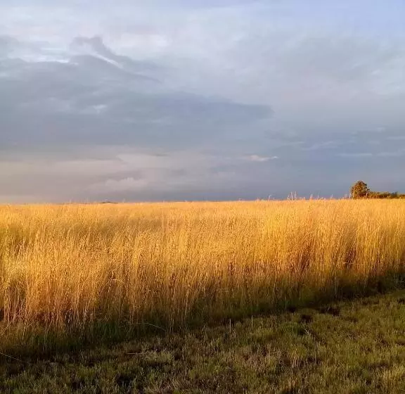 Retkeilymaja Brentwood Lodge