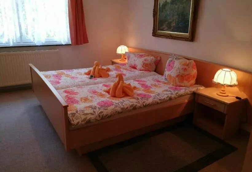 Retkeilymaja Gasthaus&pension Grünes Herz