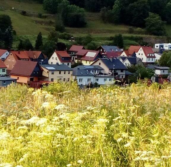 Общежитие Gasthaus&pension Grünes Herz