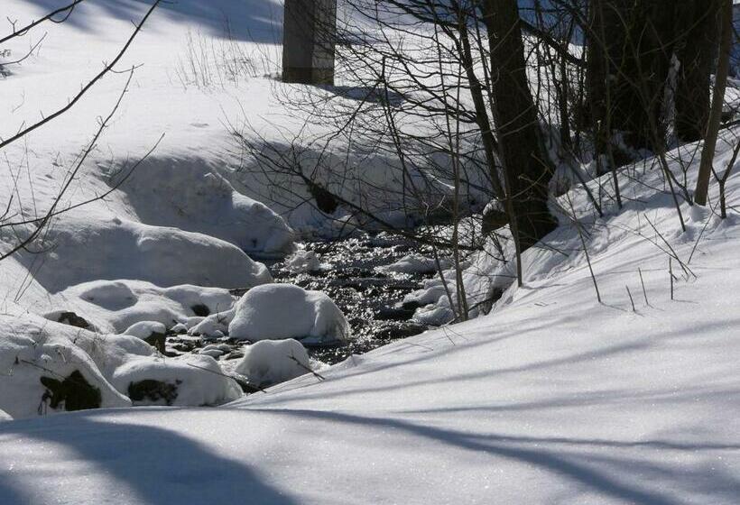 Общежитие Gasthaus&pension Grünes Herz