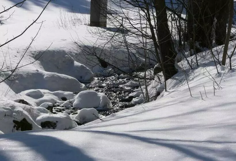 Retkeilymaja Gasthaus&pension Grünes Herz