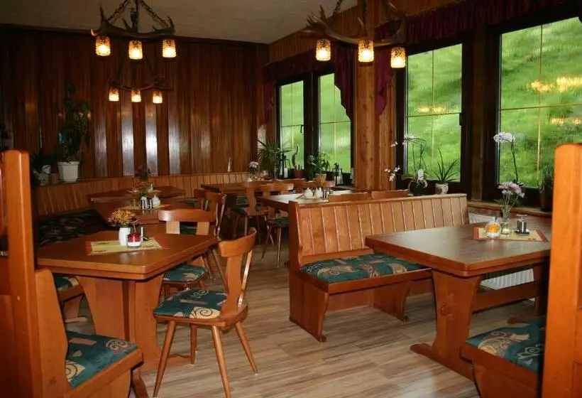 Retkeilymaja Gasthaus&pension Grünes Herz