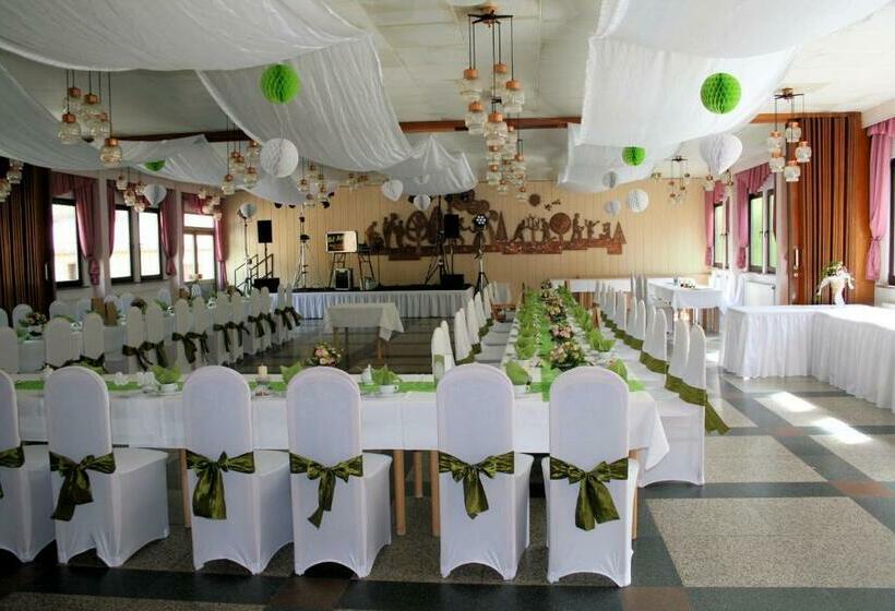 Общежитие Gasthaus&pension Grünes Herz