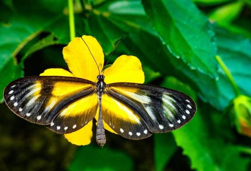 Herberge Rumi Wilco Ecolodge & Nature Reserve Cabañas & Camping