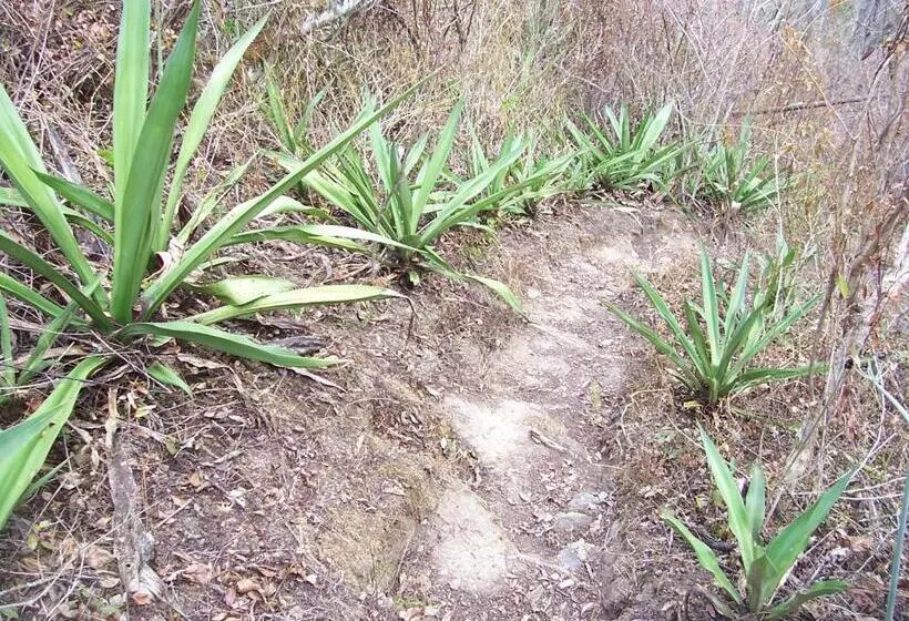 Retkeilymaja Rumi Wilco Ecolodge & Nature Reserve Cabañas & Camping