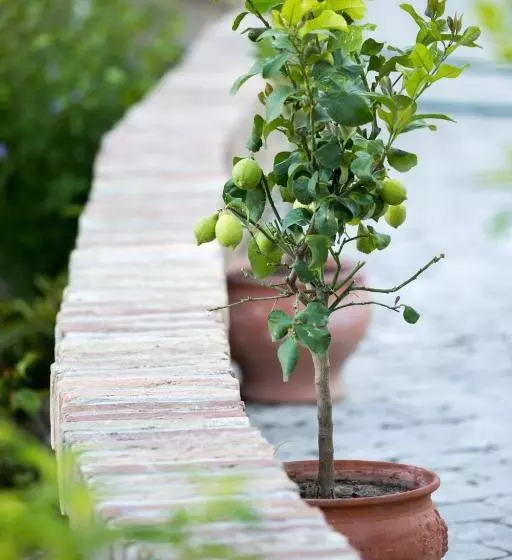 Hotelli Provence Birtok