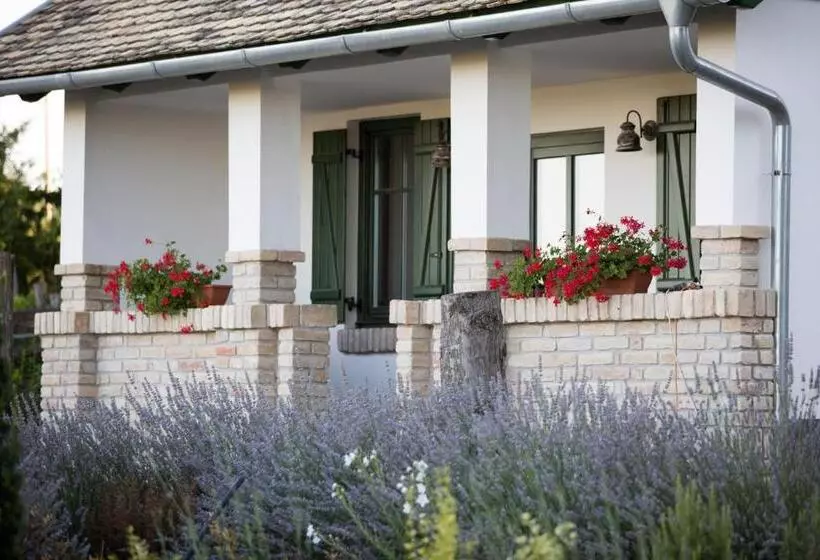 Hotelli Provence Birtok