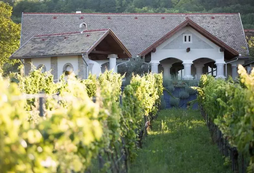 Hotelli Provence Birtok