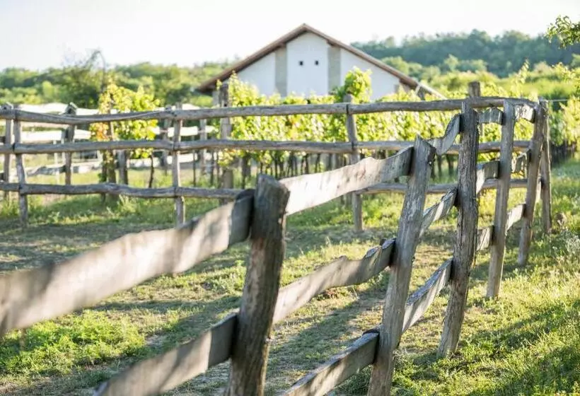 Hotelli Provence Birtok