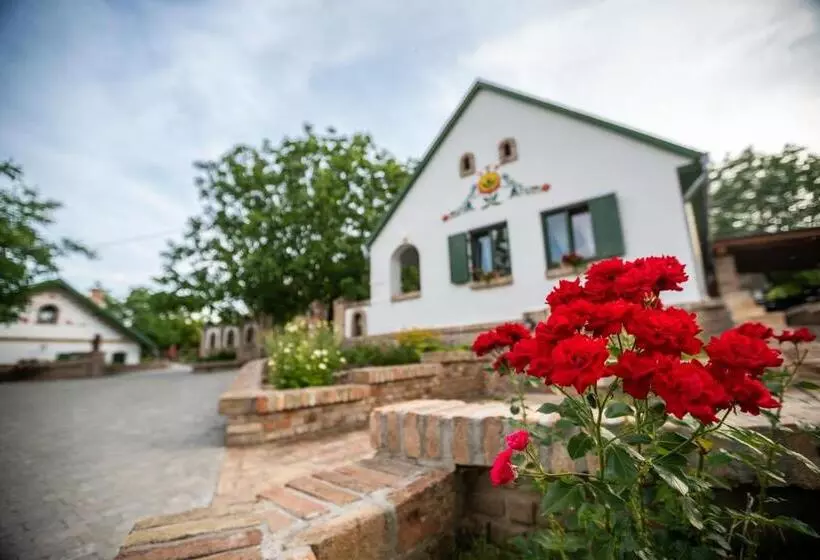 Hotelli Provence Birtok