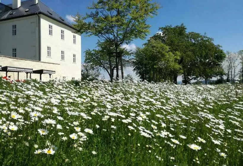 Hotelli Zámek Svijany