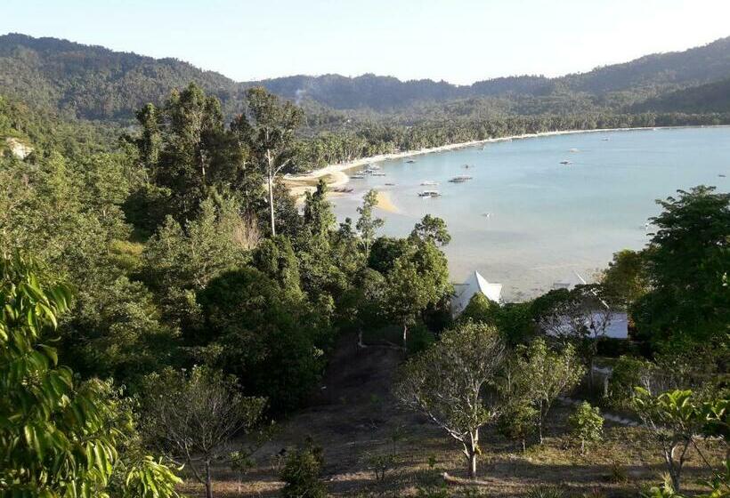 פנסיון Evergreen Bayview