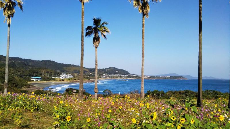 펜션 Guesthouse ＆ Beach Cafe Fuego