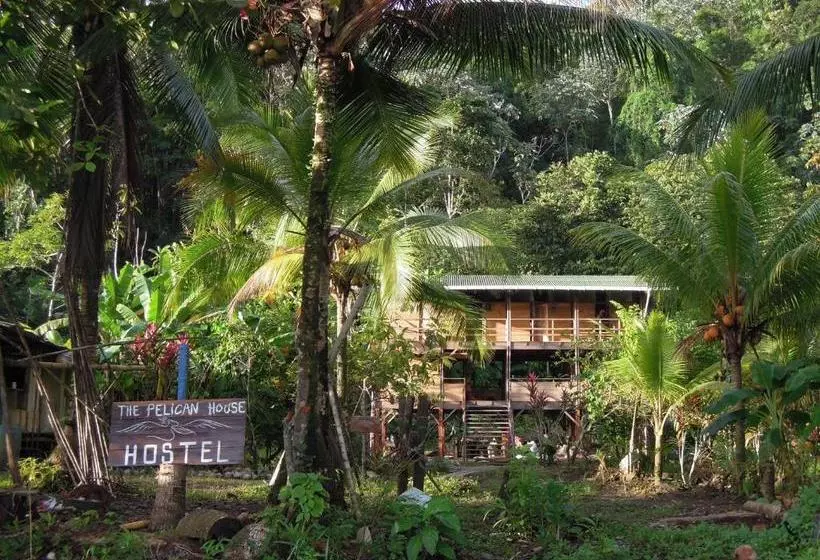 ペンション The Pelican House Hostel