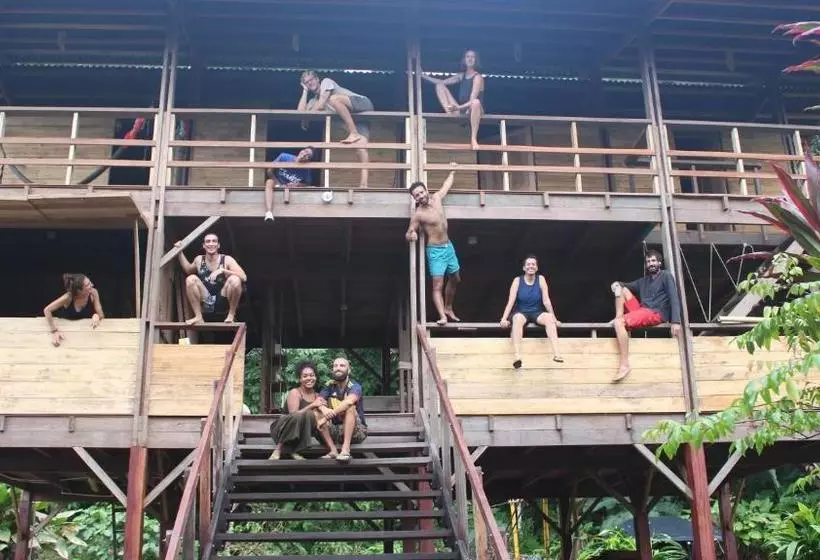 ペンション The Pelican House Hostel