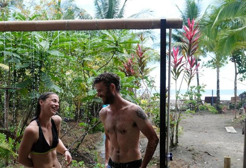 Pension The Pelican House Hostel