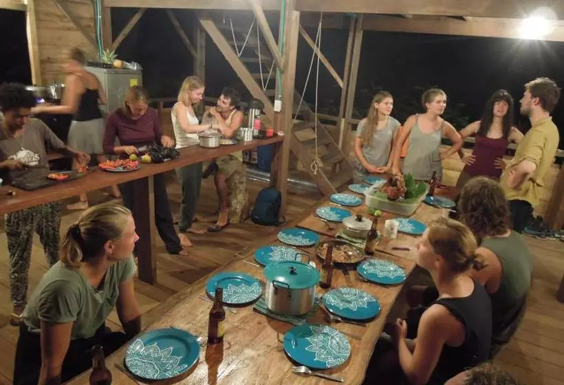 ペンション The Pelican House Hostel