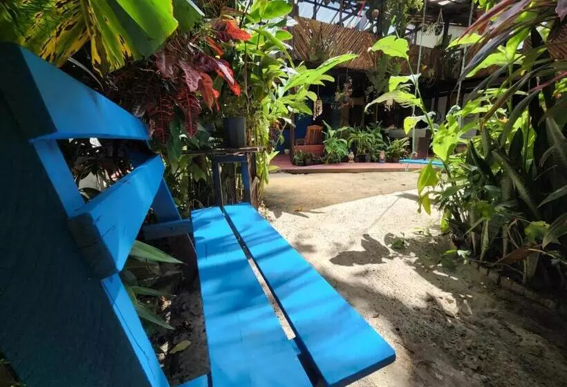 ペンション Vila Shangri La Algodoal  Suítes E Redário