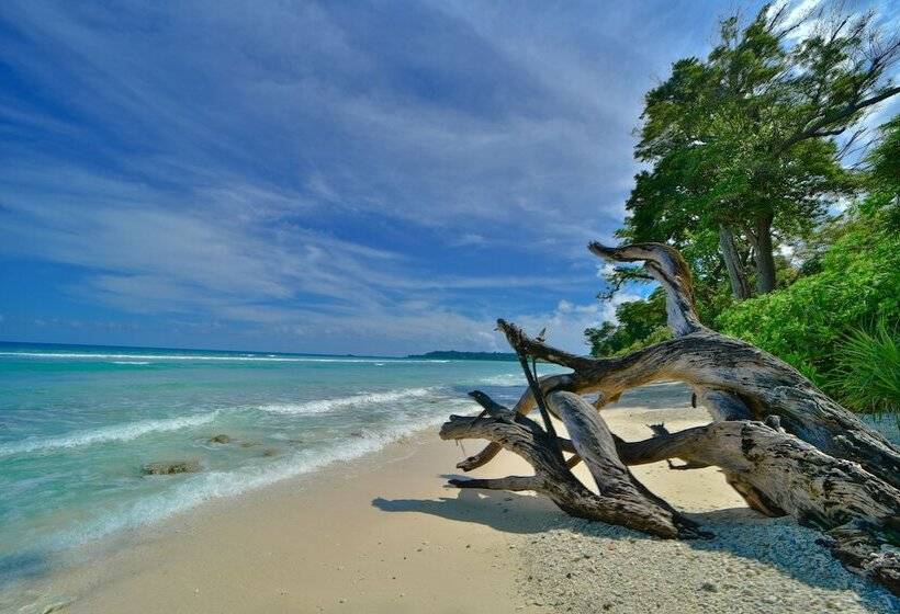 Resort Sea Shell Samssara