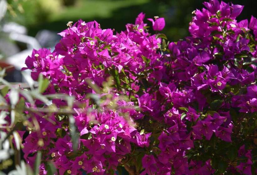 Bed and Breakfast Chez Marianne Chambres D Hôtes