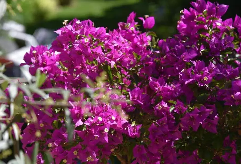 Aamiaismajoitus (B&B) Chez Marianne Chambres D Hôtes