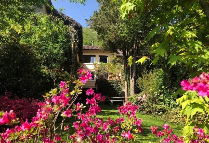 Bed and Breakfast Chez Marianne Chambres D Hôtes