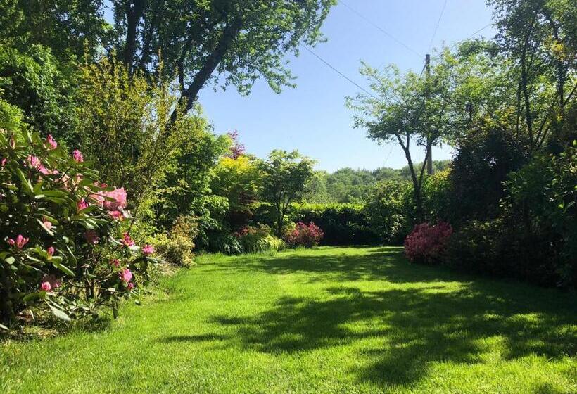 Bed and Breakfast Chez Marianne Chambres D Hôtes