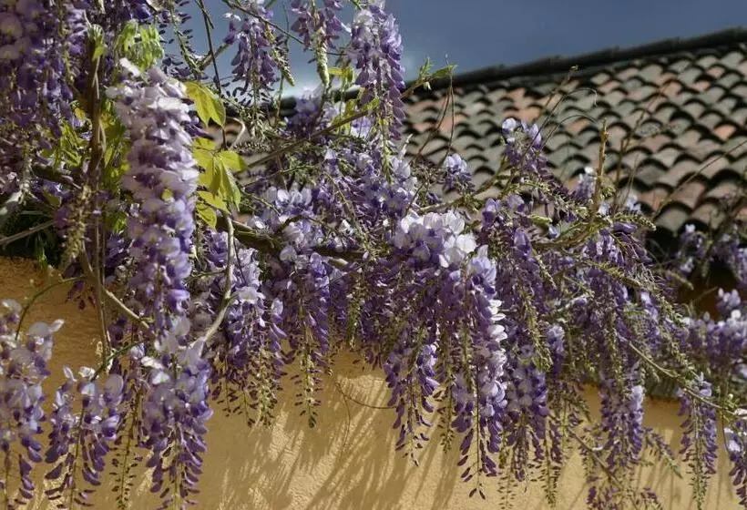 Aamiaismajoitus (B&B) Chez Marianne Chambres D Hôtes