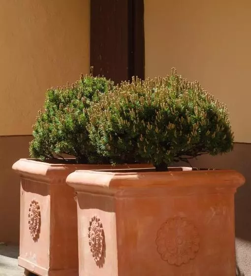 Aamiaismajoitus (B&B) Chez Marianne Chambres D Hôtes