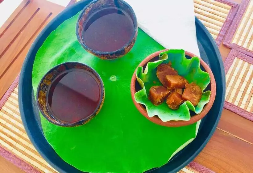 Hotelli Lavendish Wild Safari